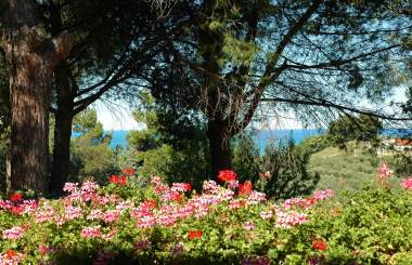 View towards the sea