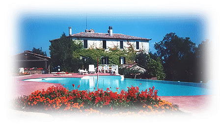 The swimming pool and the house